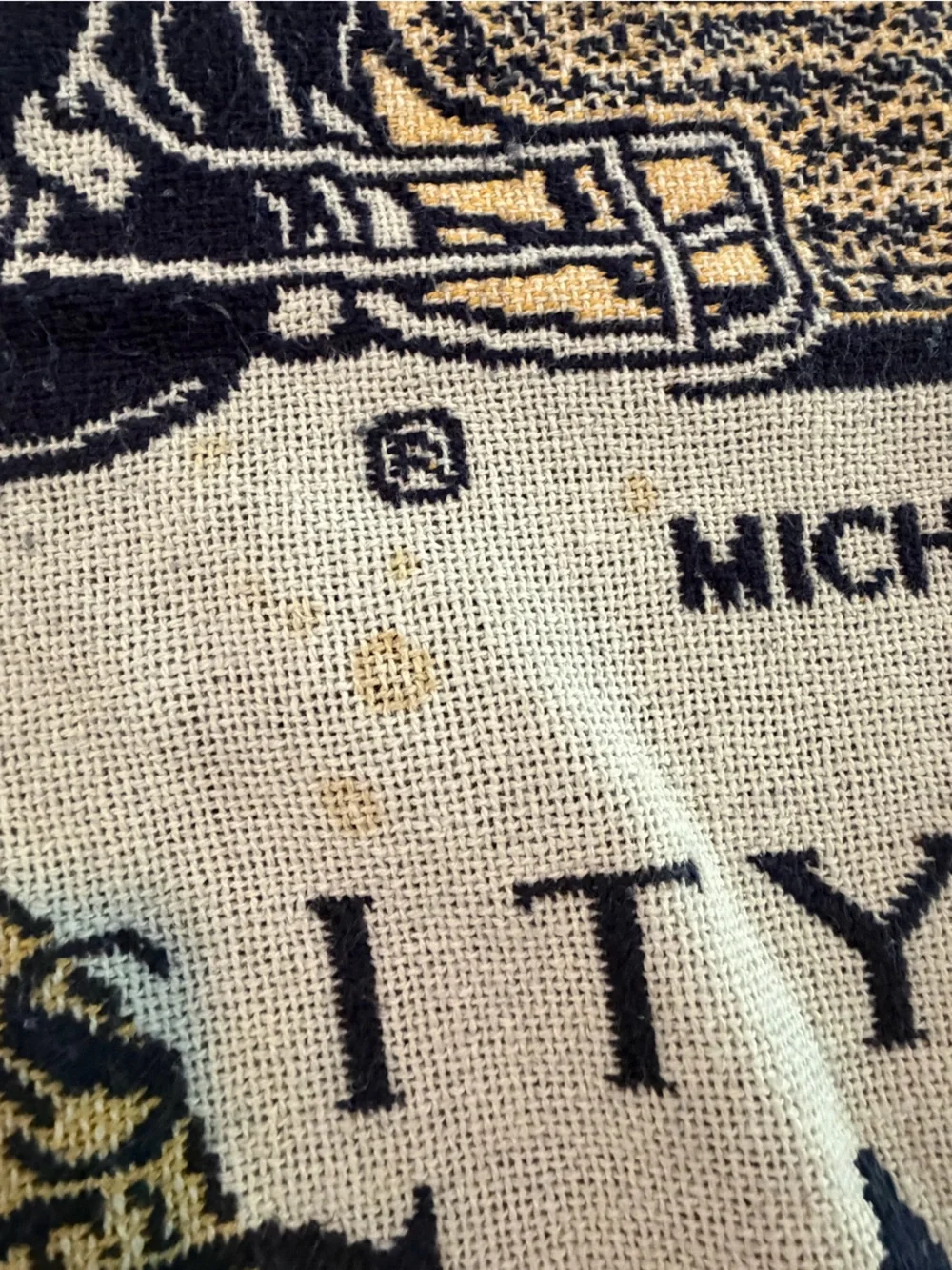 University of Michigan Woven Tapestry Throw Blanket Stadium Campus Go Blue